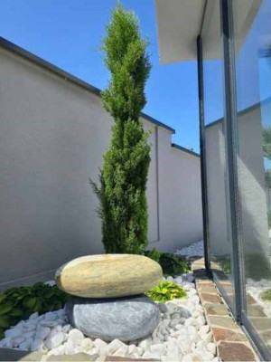 Záhradné centrum Rodos - rozrastenie záhrady 